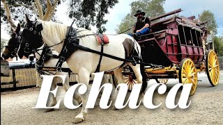 Week 12. Echuca, including paddlesteamers, Holden Museum, Billabong Ranch and more!