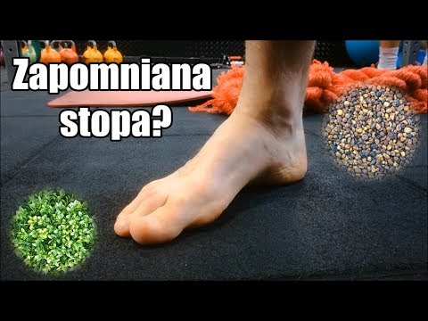 Homeopatia wzmocnić mięsień sercowy Ścięgna mięśnia trójgłowego
