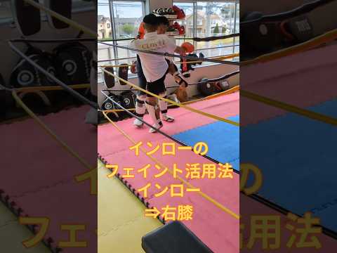 インローを“見せて”膝を刺す。相手がカットを上げた瞬間、そこがチャンス。#インロー #フェイント #ムエタイテクニック　#杉戸クローバージム