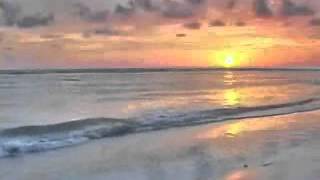 Summer Symphony - Jack Gold