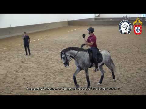 230626 12 Proj Ensino APSL&FEP - Pedro Sousa com Ouro da Malhadinha