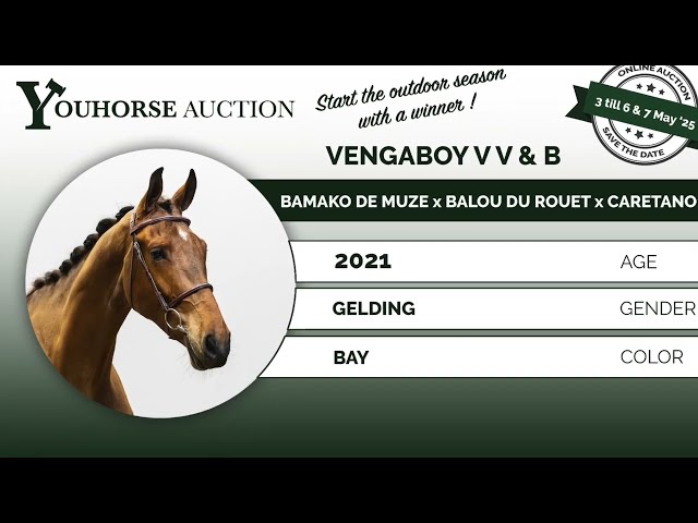 Vengaboy V V & B homevideo