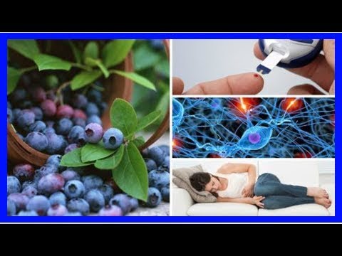 Blaubeeren: 8 wundervolle Vorzüge