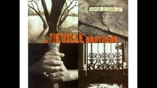 The Dealer - The Neville Brothers