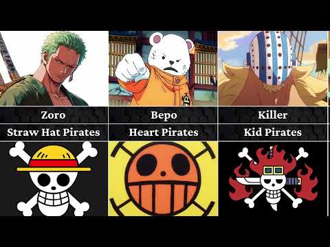 All Vice Captains in One Piece