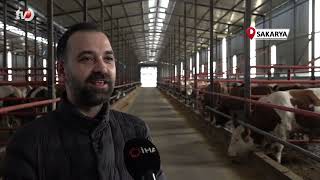 Kurbanlık Alışverişinde Erken Alım Hareketliliği