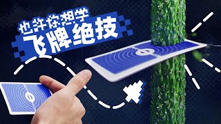 [問卦] 媽耶 飛牌484真的！