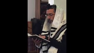 שיעור 4 בספר מסילת ישרים - להשתמש בעולם הזה לתכלית הנכונה חלק א - הרב אליעזר לוי (הרב אליעזר לוי) - התמונה מוצגת ישירות מתוך אתר האינטרנט יוטיוב. זכויות היוצרים בתמונה שייכות ליוצרה. קישור קרדיט למקור התוכן נמצא בתוך דף הסרטון שיעור 4 בספר מסילת ישרים - להשתמש בעולם הזה לתכלית הנכונה חלק א - הרב אליעזר לוי (הרב אליעזר לוי) - התמונה מוצגת ישירות מתוך אתר האינטרנט יוטיוב. זכויות היוצרים בתמונה שייכות ליוצרה. קישור קרדיט למקור התוכן נמצא בתוך דף הסרטון