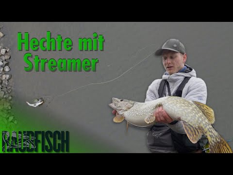 Streamers, large bodies of water, and fly rods? This is how you find pike in spring.