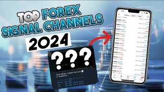 TOP 5 Profitable Forex Signal Channels of 2024 (Reviewed) | The CopyTrader