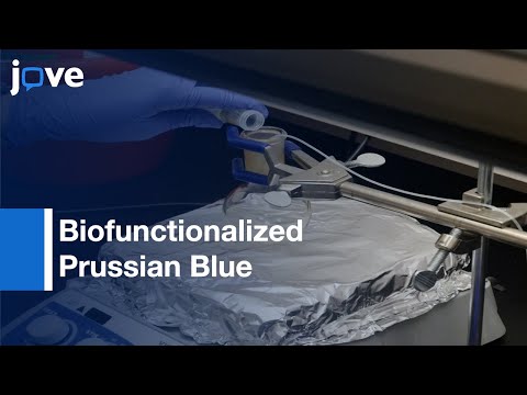 Biofunctionalized Prussian Blue Nanoparticles For Multimodal Molecular Imaging l Protocol Preview