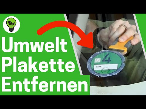 Remove environmental sticker ✅ INGENIOUS INSTRUCTIONS: How to remove the green particulate matter...