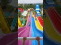 Fun At The Water Park Assument Shorts
