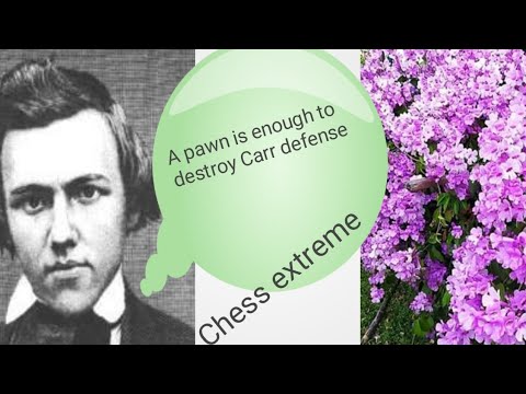 Carr defense || a pawn of Morphy is equal to a tiger in a rage