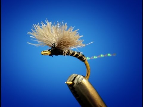 Bunny Midge -- By Clark "Cheech" Pierce