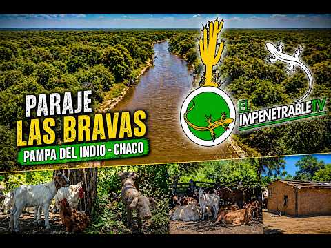 Historias monte adentro desde Paraje Las Bravas  | El Impenetrable TV | Canal 9