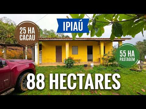 FAZENDA À VENDA NA REGIÃO DE IPIAÚ. 13 MIL/HACTARE.