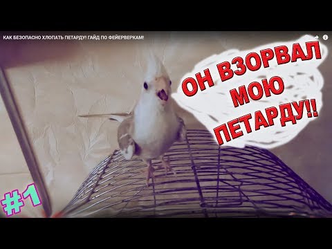 КАК БЕЗОПАСНО ВЗОРВАТЬ ПЕТАРДУ! ГАЙД ПО ФЕЙЕРВЕРКАМ!