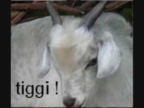 AmpaKILL - Live _ auf.BRUCH___ 2 _17.04.2004_ Part 4/7