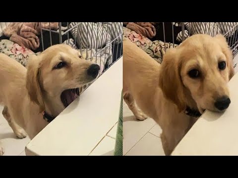 R Eyebleach