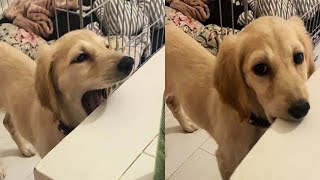ALL OF r/EYEBLEACH