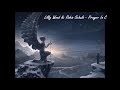 Robin Schulz Ft Lilly Wood Prayer In C 432Hz