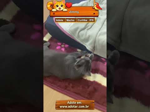 Vídeo de Jimmy