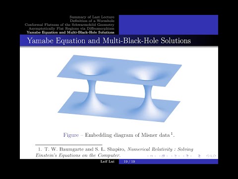 Black Hole Theory Lecture 5: Wormhole and Multi-Black-Hole Solutions in the Schwarzschild Geometry