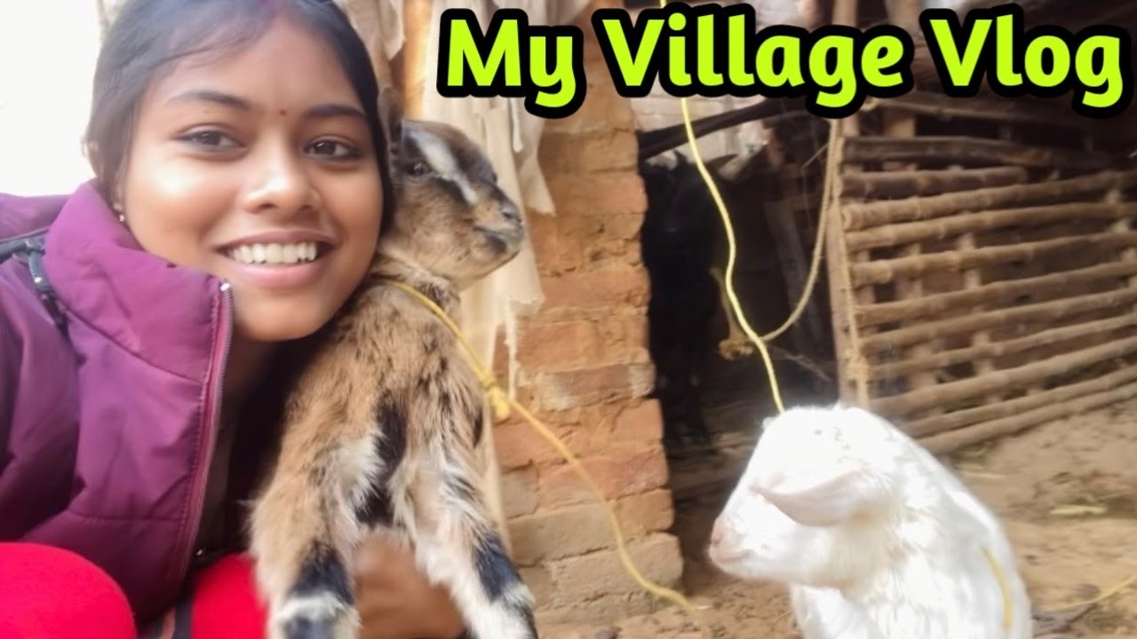 My Village Vlog | Manisha Sahu