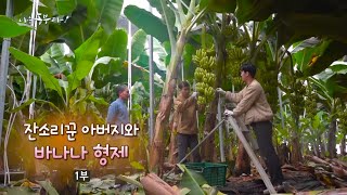 [183회_1부] 잔소리꾼 아버지와 바나나 형제