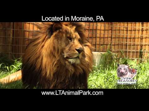 Living Treasures Youngstown - Smitten Productions