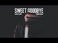 Robin Schulz   Sweet Goodbye (Codex Remix)