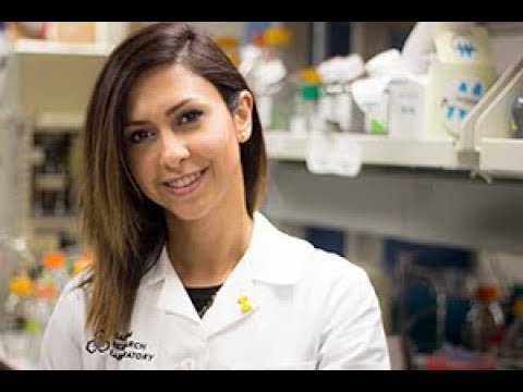 2017 Three Minute Thesis Finalist - Behnoush Khorsand