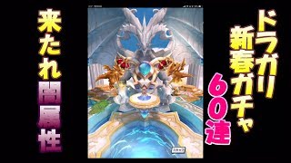 【ドラガリア】新春ガチャ6０連