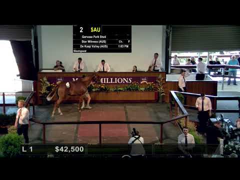 2020 Perth Yearling Sale Day 1