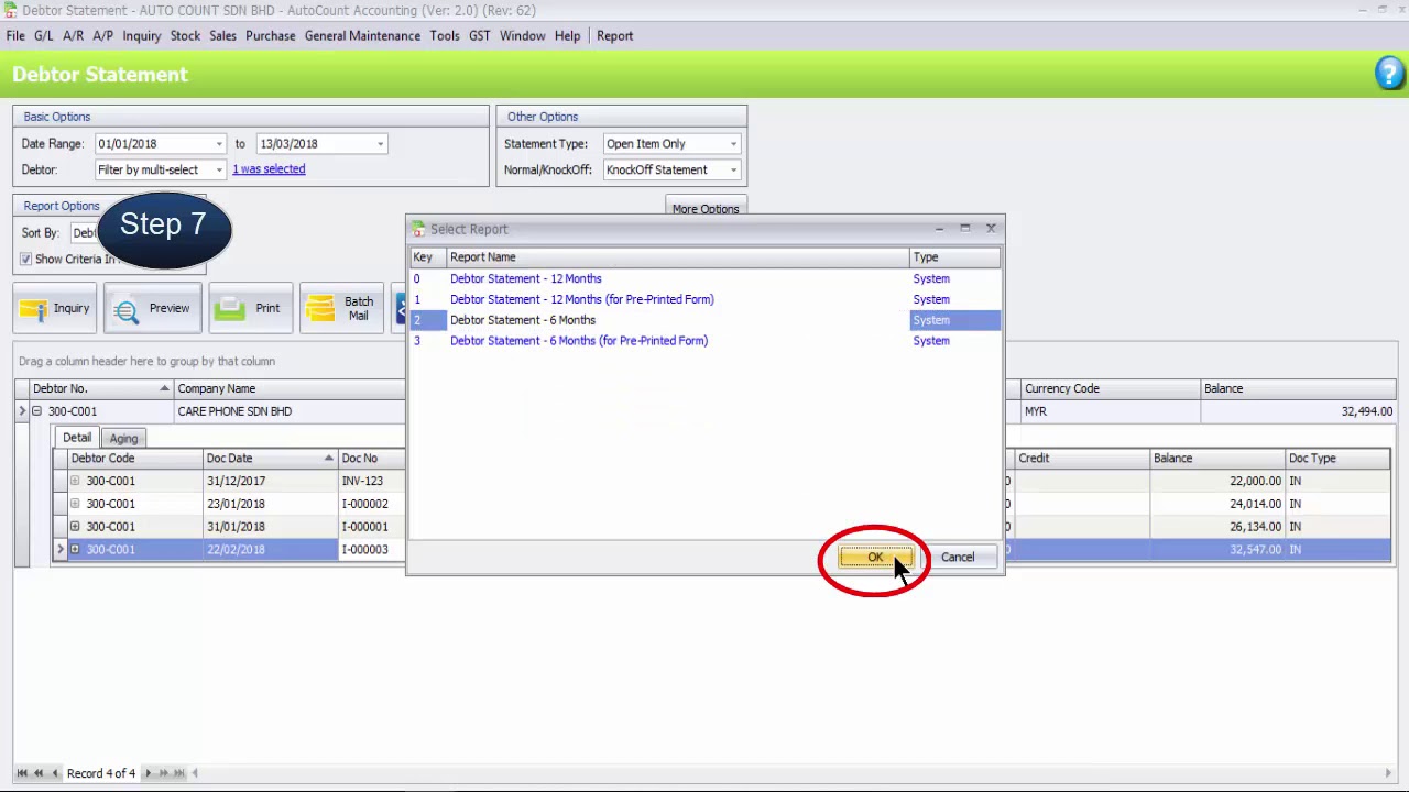 13  Debtor Statement in Accounting V2