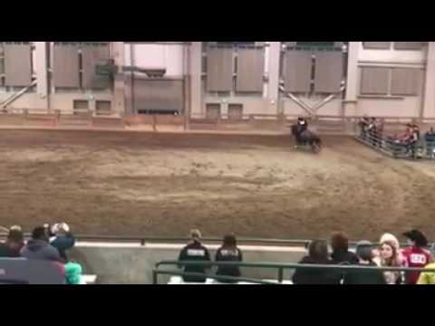 2017 IHSA Regionals. Alumni Reining.