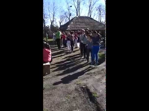 Majané Joref SIO & CISO - 07/2014 - Od Naguia