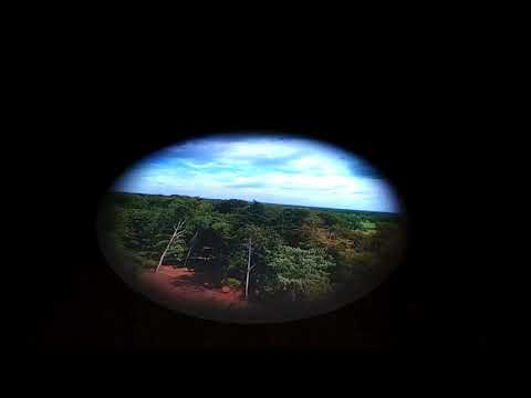 De IJsselbiënnale 2021