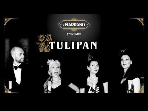 TULIPAN - I MARRANO