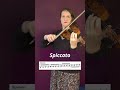 17 Violin Bowing Techniques Sheet Music Symbols