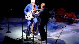 Steve Martin and The Steep Canyon Rangers - Hide Behind A Rock, live, 2011