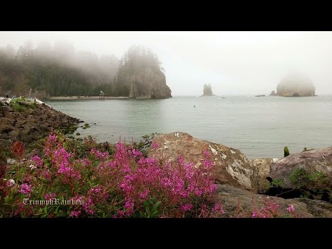 Rialto Beach La Push - Olympic National Park 4K UHD