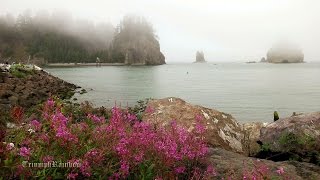 Rialto Beach La Push - Olympic National Park 4K UHD