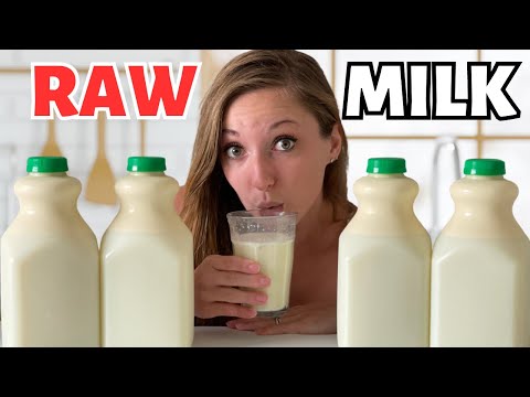 I drank raw milk every day for a year…