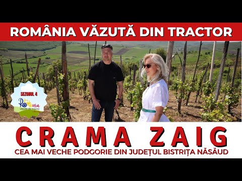 Crama Zaig, cea mai bătrână podgorie din Bistrița-Năsăud / România văzută din tractor