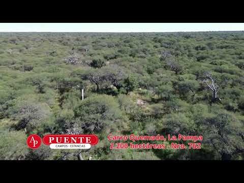 Campo en venta en Carro Quemado, La Pampa - 2.200 hectáreas - Departamento Loventué - Nro. 762