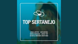 Vidinha de Balada (Ao Vivo)