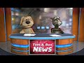 Talking Tom & Ben Newshttps://o7n.co/News