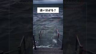 間違い探し【Xenoblade2 (ゼノブレイド2) Nintendo Switch 2 Edition】